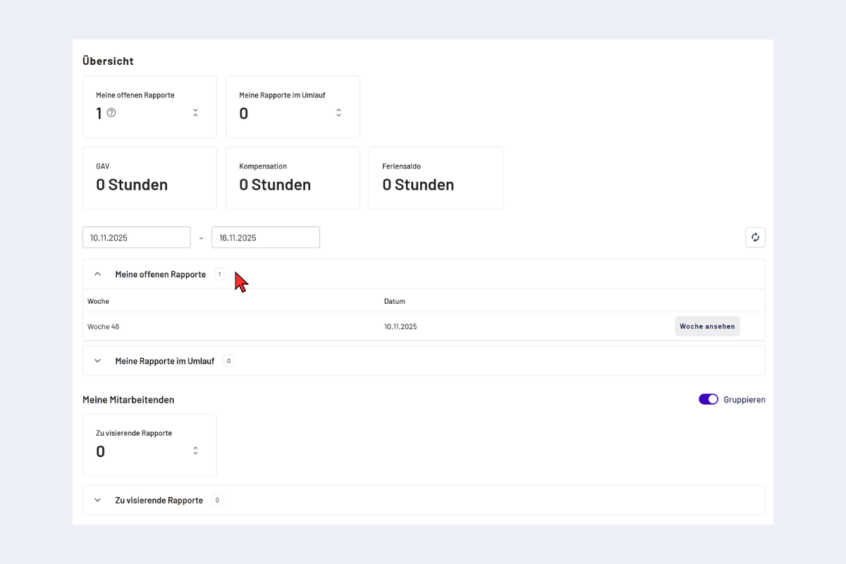 Übersichtsbereich Projektleitende – ausgeklappt